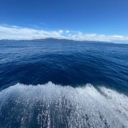 1 Azorgaia Pdl Blue Soul Bedroom 2 Azorgaia Greenpulse Bedroom Azores Less Impact Propose Ponta Delgada